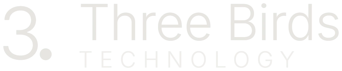Three Birds Technology